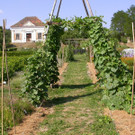 ARCHE_NOAH_Schaugarten_07.JPG