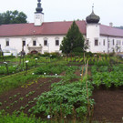 Garten_9.jpg