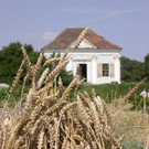 PAVILL_4.JPG