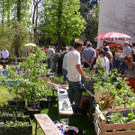Tauschmarkt_2005_a.jpg