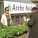 Arche2.jpg