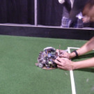 Robo5Soccer_jpg-1336142320