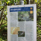 Raiba EHREN Ausflug 2012 _25__jpg-1336146091