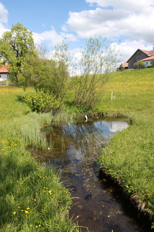 Raiba EHREN Ausflug 2012 _30__jpg-1336146136