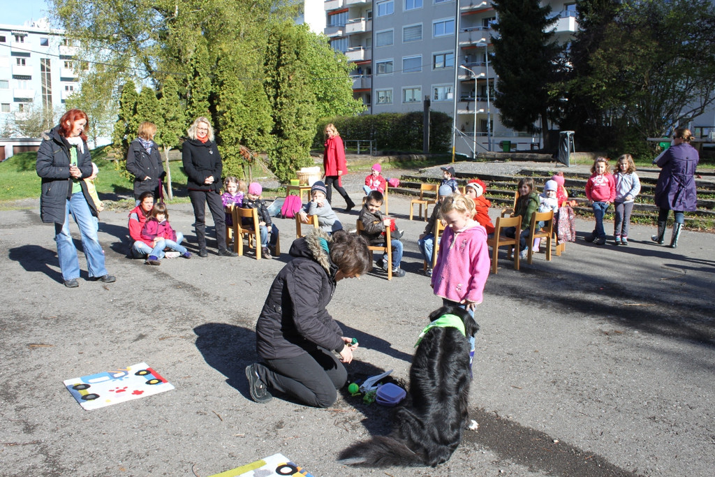 KI Seepark HUNDETAG 2012 _2__jpg-1336155330