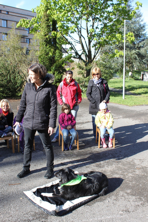 KI Seepark HUNDETAG 2012 _9__jpg-1336155381