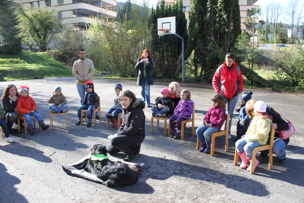 KI Seepark HUNDETAG 2012 _11__jpg-1336155397