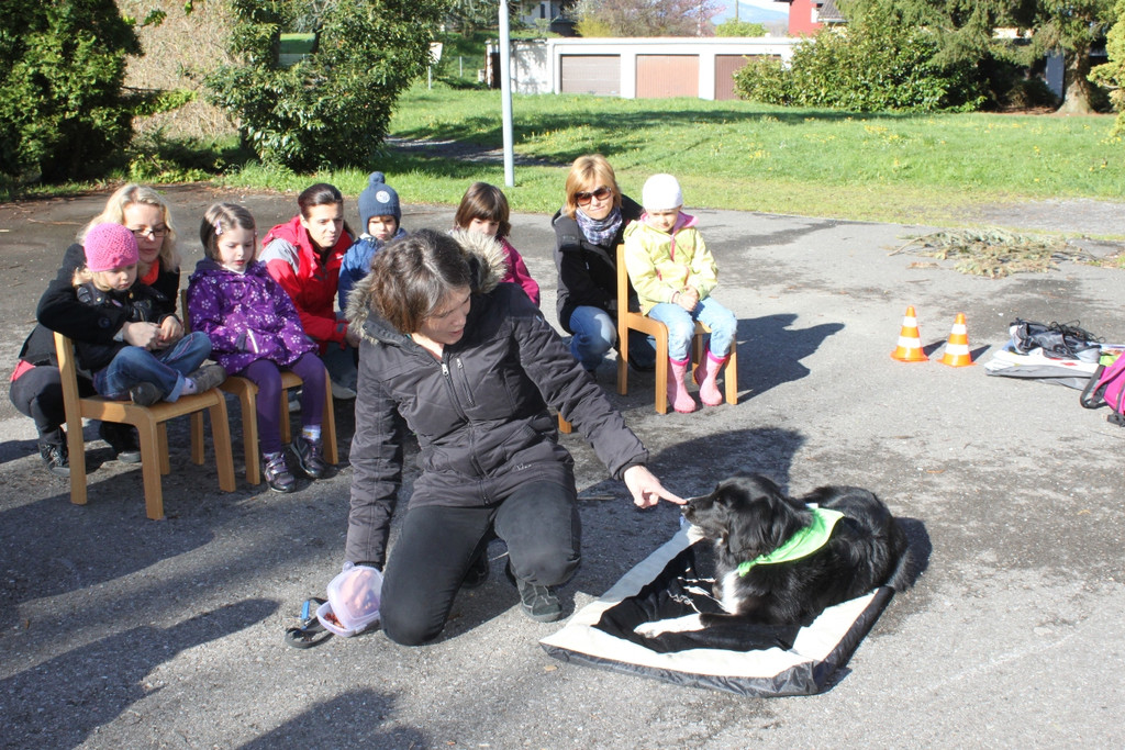KI Seepark HUNDETAG 2012 _12__jpg-1336155404
