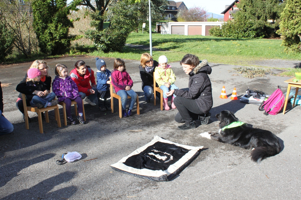 KI Seepark HUNDETAG 2012 _13__jpg-1336155412
