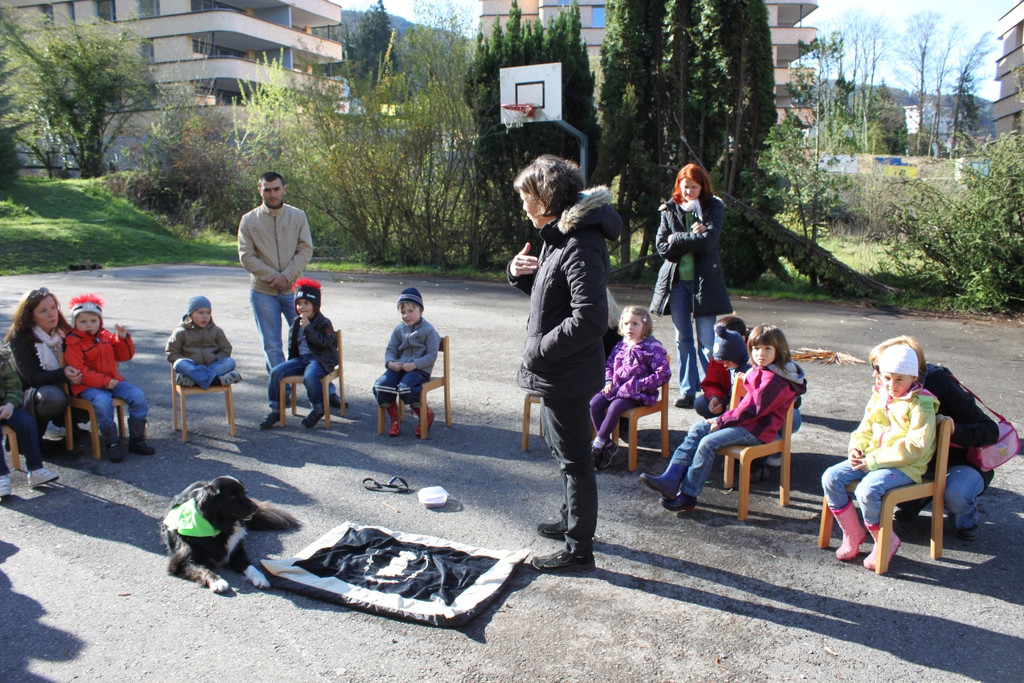 KI Seepark HUNDETAG 2012 _14__jpg-1336155420