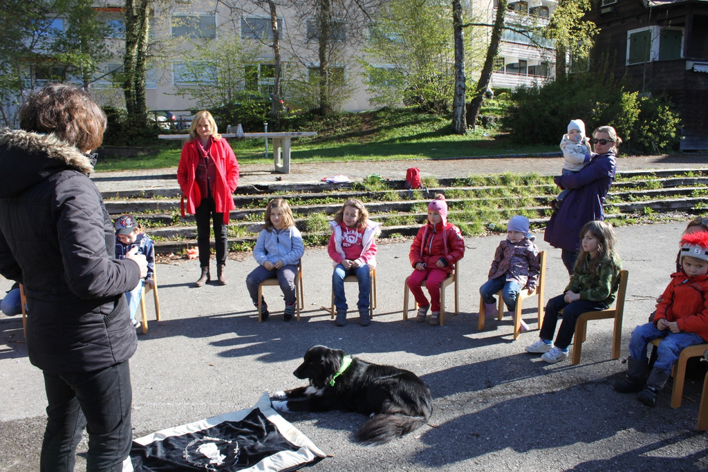 KI Seepark HUNDETAG 2012 _15__jpg-1336155427