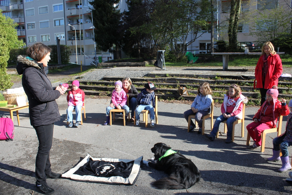 KI Seepark HUNDETAG 2012 _16__jpg-1336155435