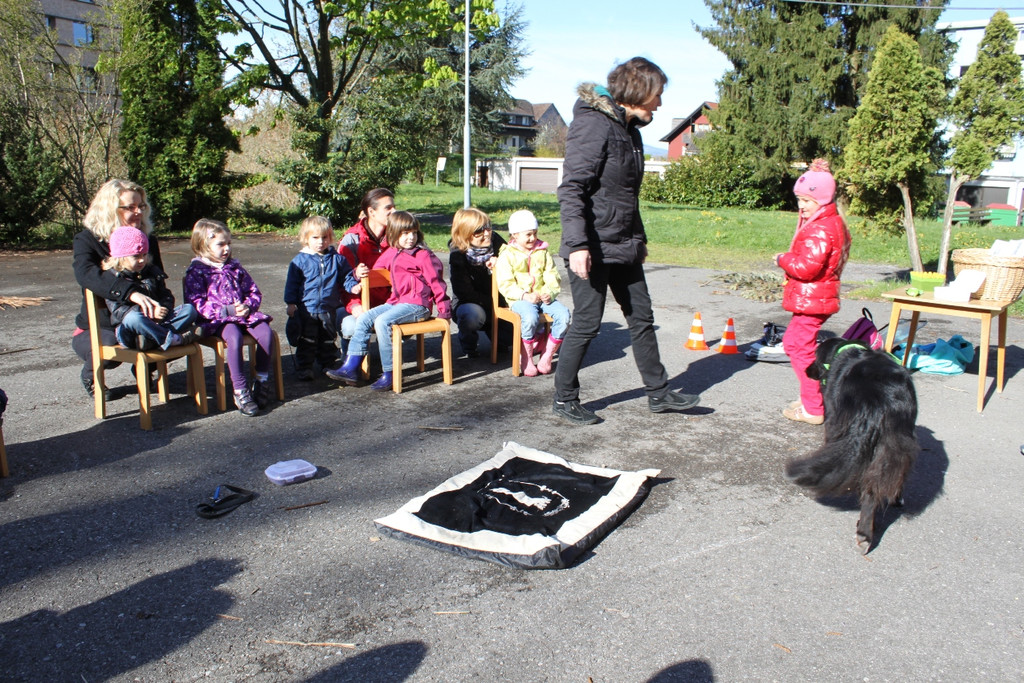 KI Seepark HUNDETAG 2012 _17__jpg-1336155443