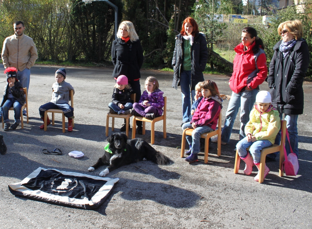KI Seepark HUNDETAG 2012 _20__jpg-1336155465
