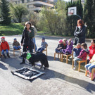 KI Seepark HUNDETAG 2012 _22__jpg-1336155481