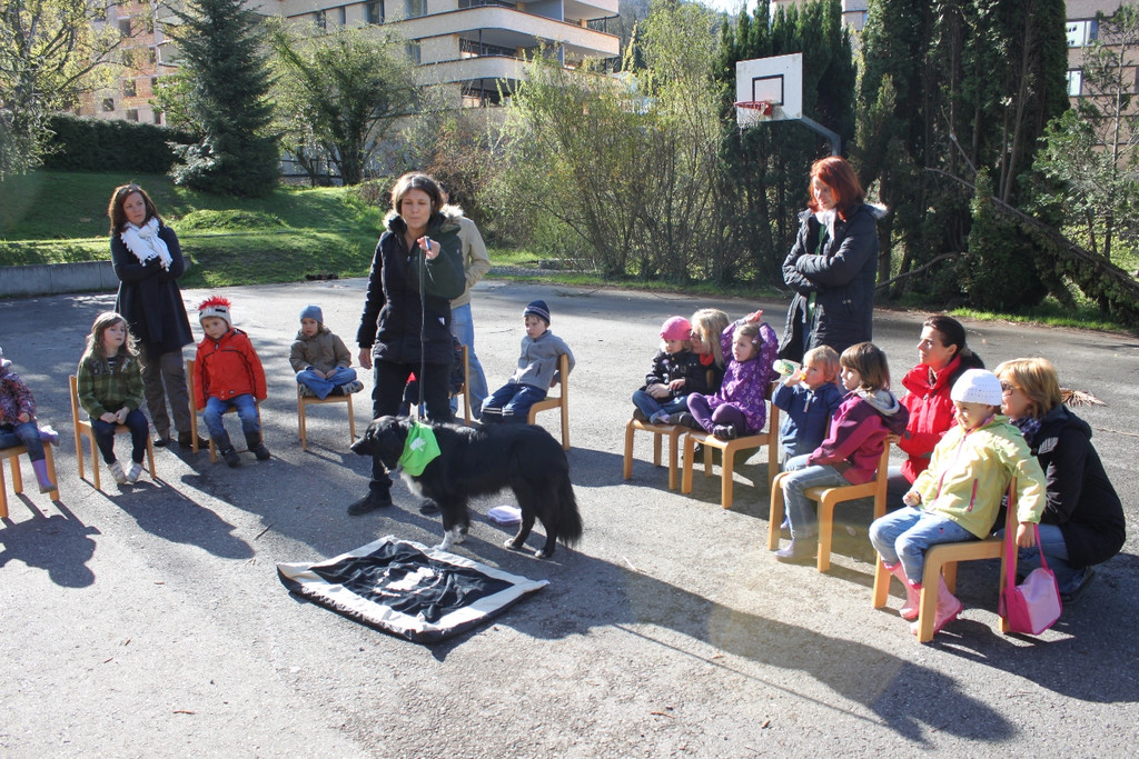 KI Seepark HUNDETAG 2012 _22__jpg-1336155481