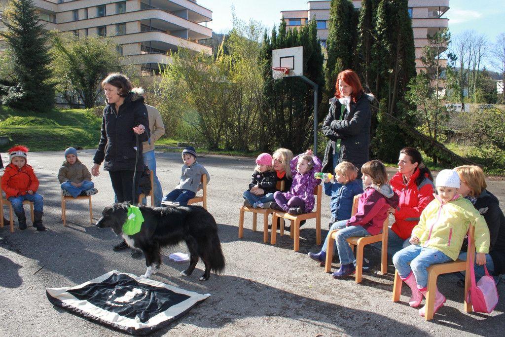 KI Seepark HUNDETAG 2012 _23__jpg-1336155489