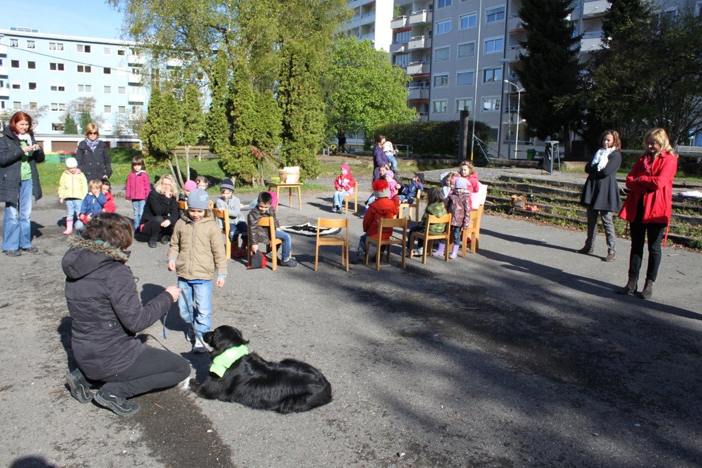 KI Seepark HUNDETAG 2012 _25__jpg-1336155504