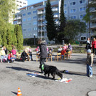 KI Seepark HUNDETAG 2012 _26__jpg-1336155512