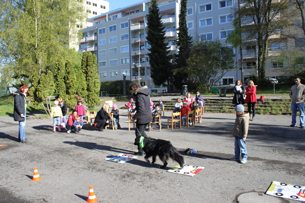 KI Seepark HUNDETAG 2012 _26__jpg-1336155512