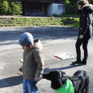 KI Seepark HUNDETAG 2012 _28__jpg-1336155525