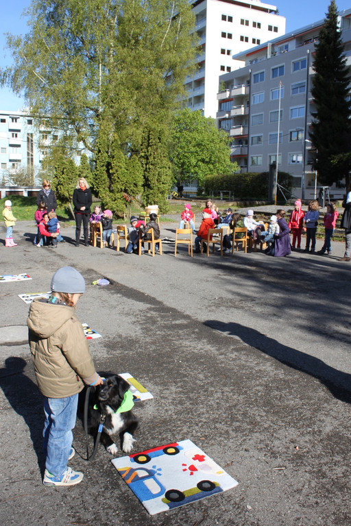 KI Seepark HUNDETAG 2012 _31__jpg-1336155547