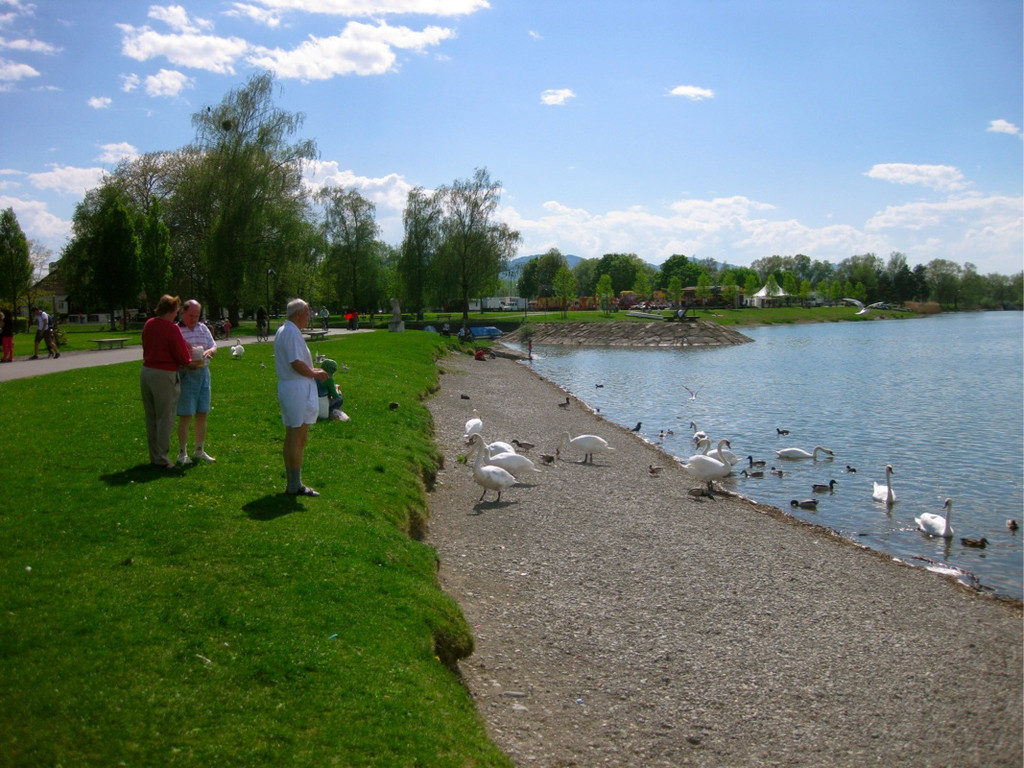 BK_Schwanensee_Hard 15_jpg-1336161056