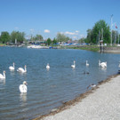 BK_Schwanensee_Hard_jpg-1336161070