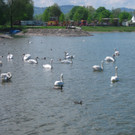 BK_Schwanensee_Hard 7_jpg-1336161014