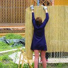 114_5565_JPG-1336201922