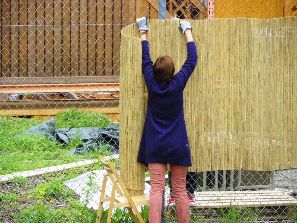 114_5565_JPG-1336201922