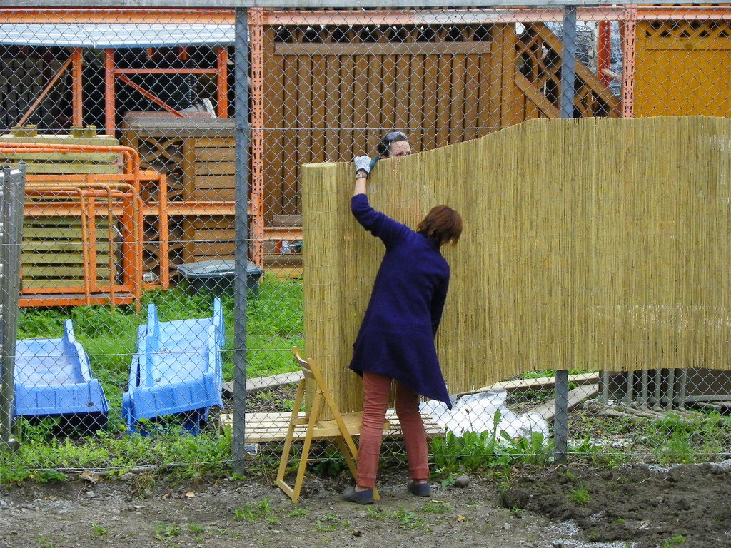 114_5568_JPG-1336201941