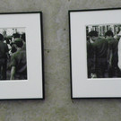 114_4498_JPG-1336202296