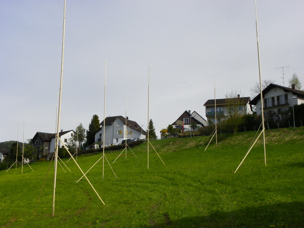 114_4383_JPG-1336203260