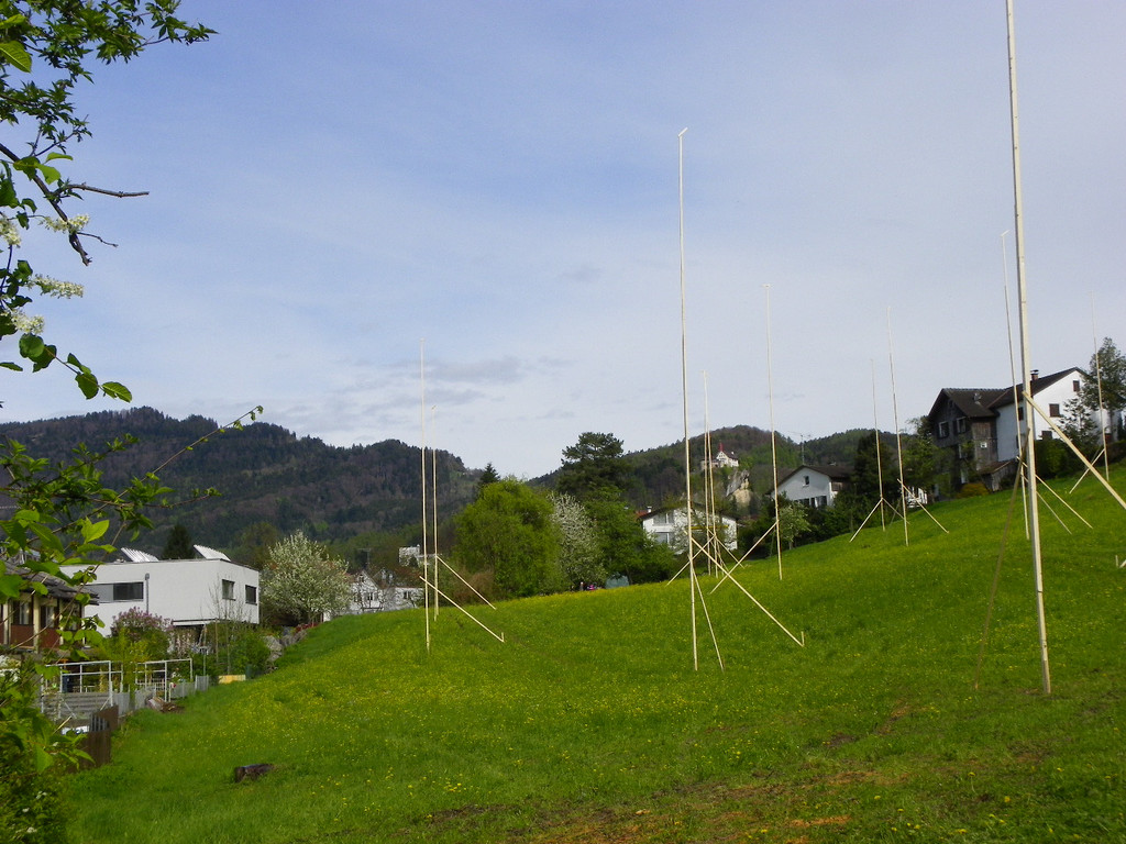 114_4384_JPG-1336203267