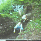 114_4440_JPG-1336209328