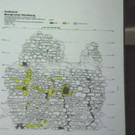 114_4403_JPG-1336209283