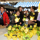 Abendmarkt 05_05_2012 5_jpg-1336248377