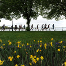 201205051224_02.JPG