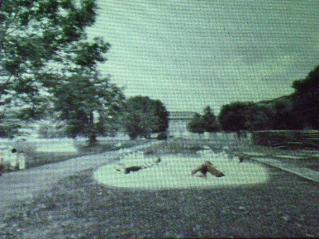 114_4590_JPG-1336313035