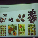 114_5636_JPG-1336313684