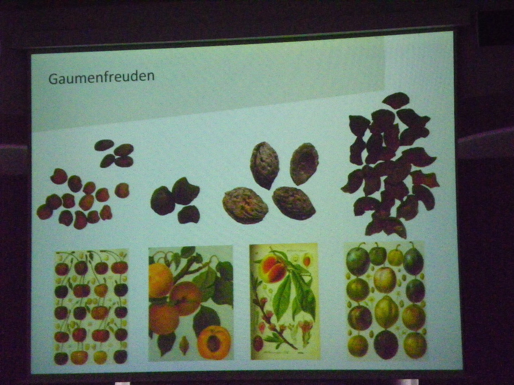 114_5636_JPG-1336313684