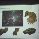 114_5637_JPG-1336313689