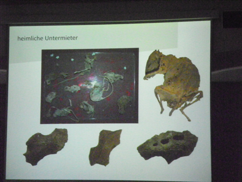 114_5637_JPG-1336313689