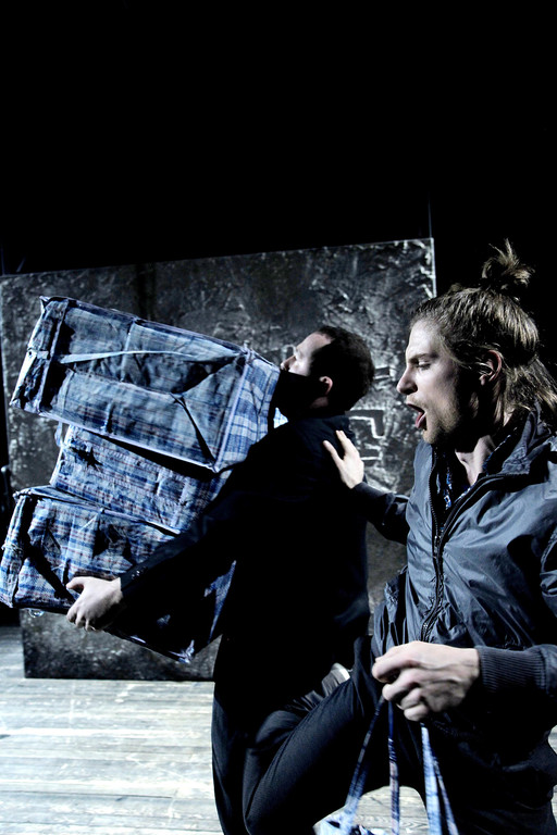 2hunde120159_jpg-1336314403