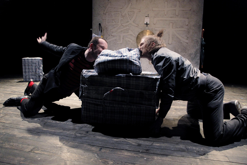 2hunde120261_jpg-1336314427