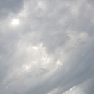 IMG_7427.jpg