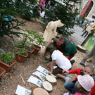 IMG_7526.jpg