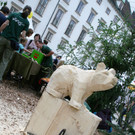 IMG_7527.jpg