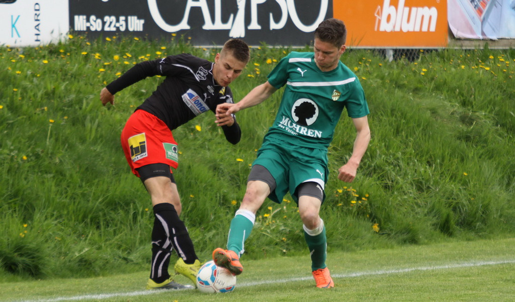 Viktoria - A_ Lustenau  2012 617.jpg